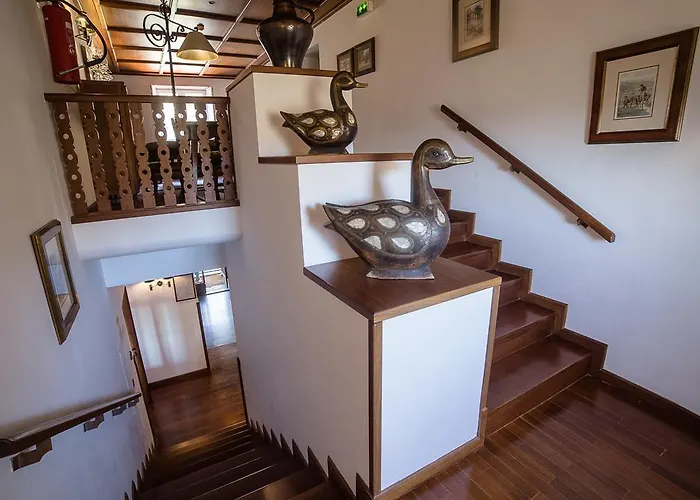 Hotel Sao Goncalo Ansiães